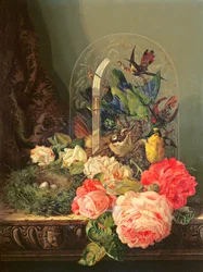 Stilleven van vogels, bloemen en een vogelnest op een tafel
